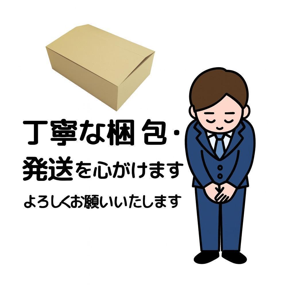 マキタ DC18RF 急速充電器(USB端子付き) ナイロン収納袋＆メンテナンA