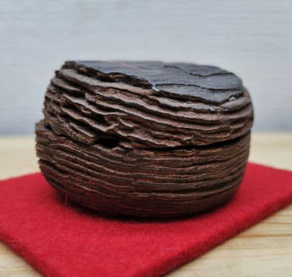 送料込【逢絢亭】茶道具 香合 松皮香合 織部の松を以て 木製 不蔵庵 龍渓 共箱