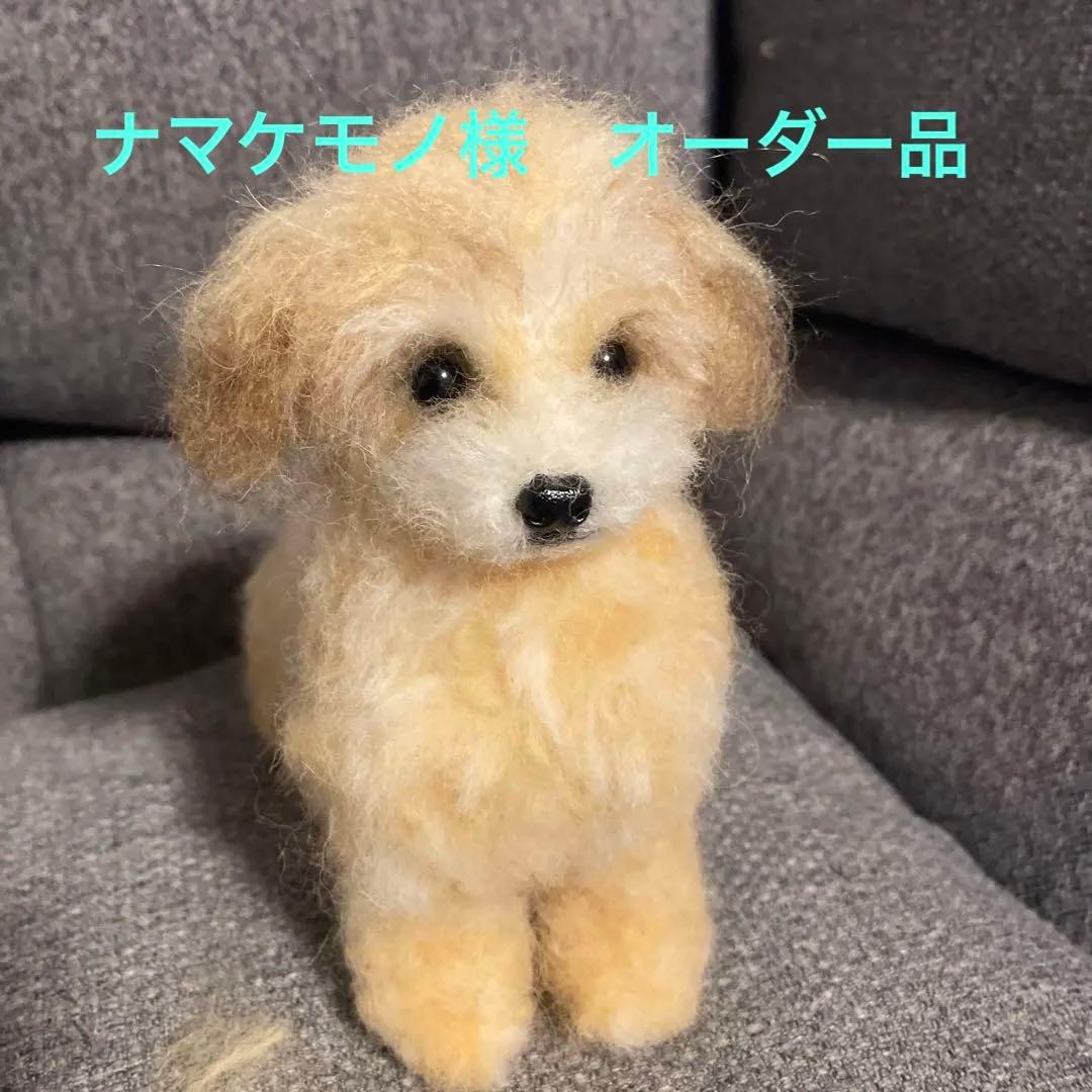 羊毛フェルト　マルプー　犬 オーダー商品