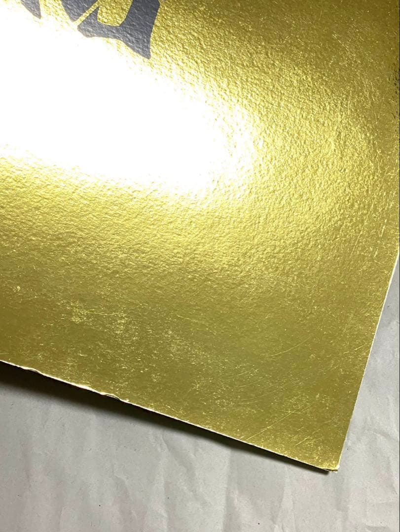 ガゼット 大日本異端芸者 パンフレット 会報 まとめ売り