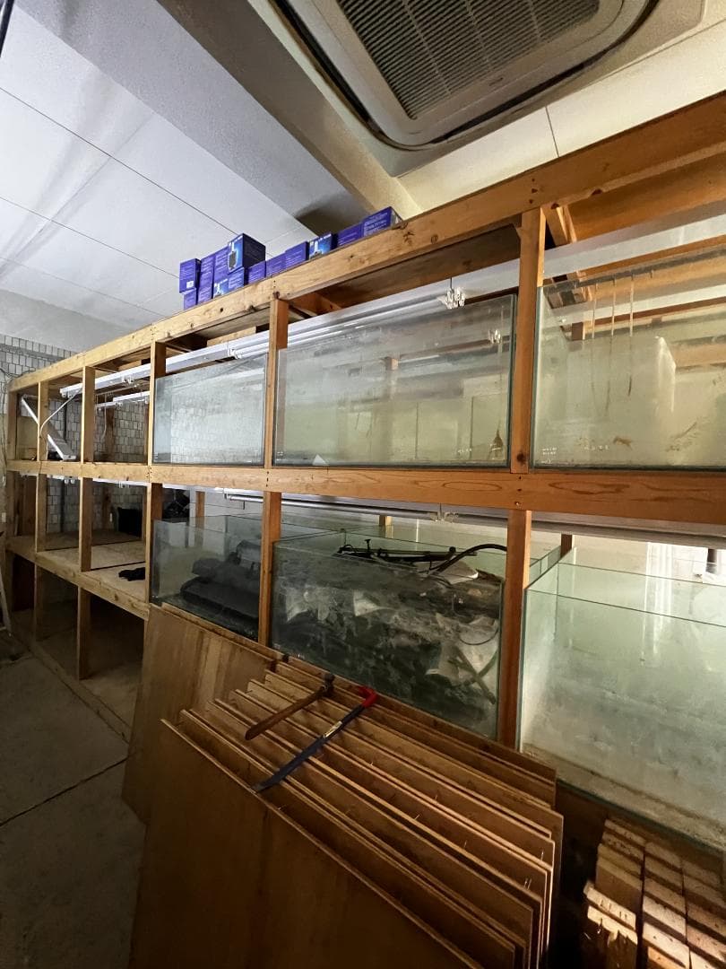 ススキガラス水槽2台セット 使用済品 中古 汚れあり 引き取り限定(埼玉)