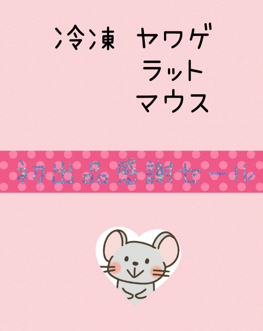 ✨初出品限定✨ 3名様特価 ✨冷凍ヤワゲネズミ ラット マウス【真空パック保存】