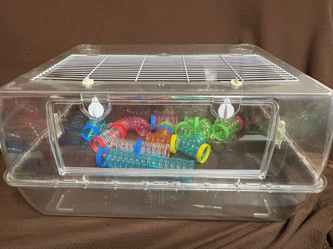 ハムスター　　ルーミー60