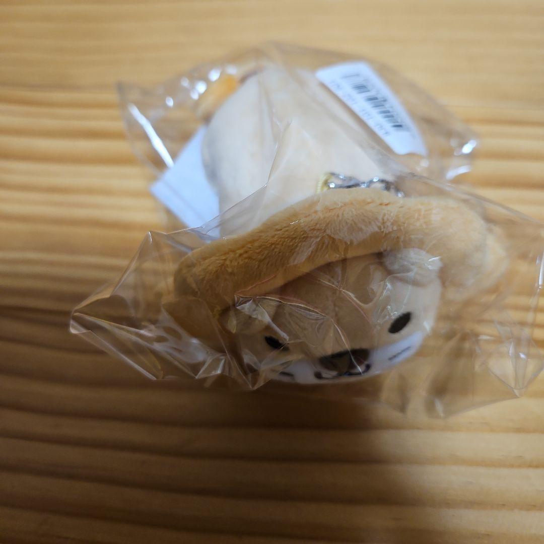 新品未使用 学長ライオン抱き枕 ほか ミニ両ライオンぬいぐるみ リベシティ