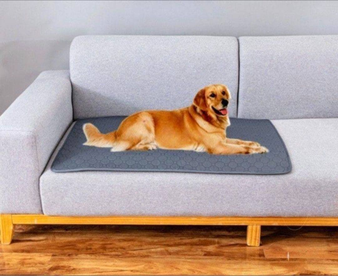 ペットシーツ シート トイレマット おしっこマット 犬猫　 洗える　2枚　グレー