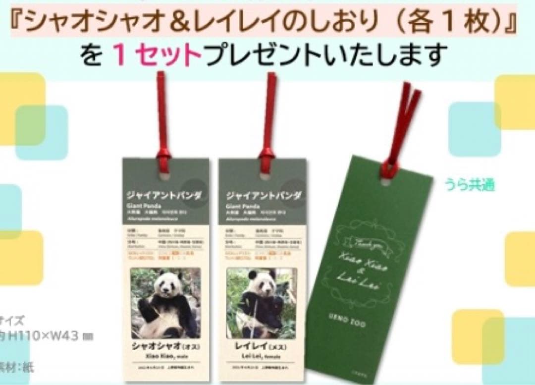上野動物園 パンダ ぬいぐるみ抱っこミニ 暁暁 蕾蕾 シャオシャオ レイレイ