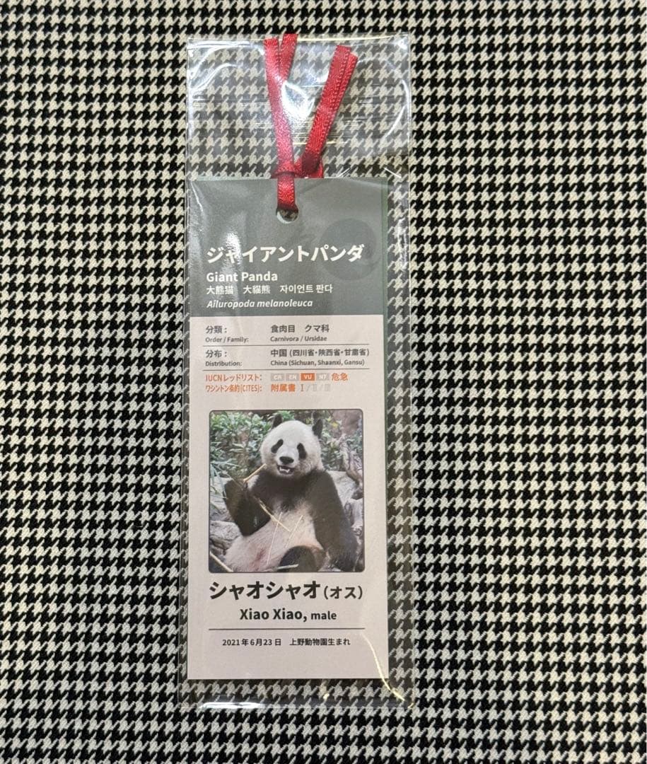 上野動物園 パンダ ぬいぐるみ抱っこミニ 暁暁 蕾蕾 シャオシャオ レイレイ