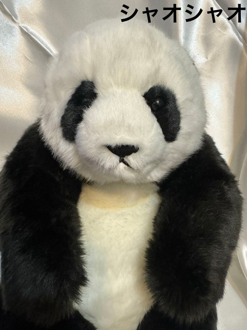 上野動物園 パンダ ぬいぐるみ抱っこミニ 暁暁 蕾蕾 シャオシャオ レイレイ