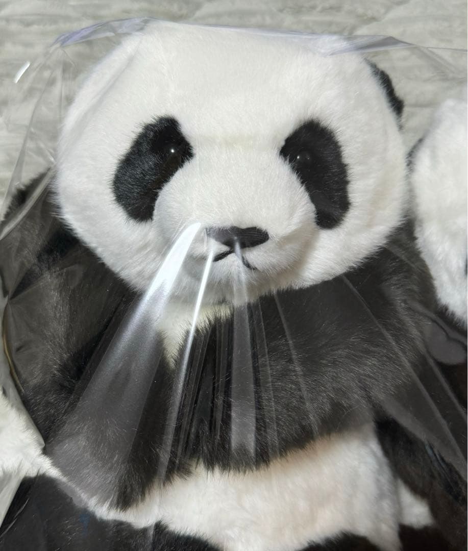 上野動物園 パンダ ぬいぐるみ抱っこミニ 暁暁 蕾蕾 シャオシャオ レイレイ