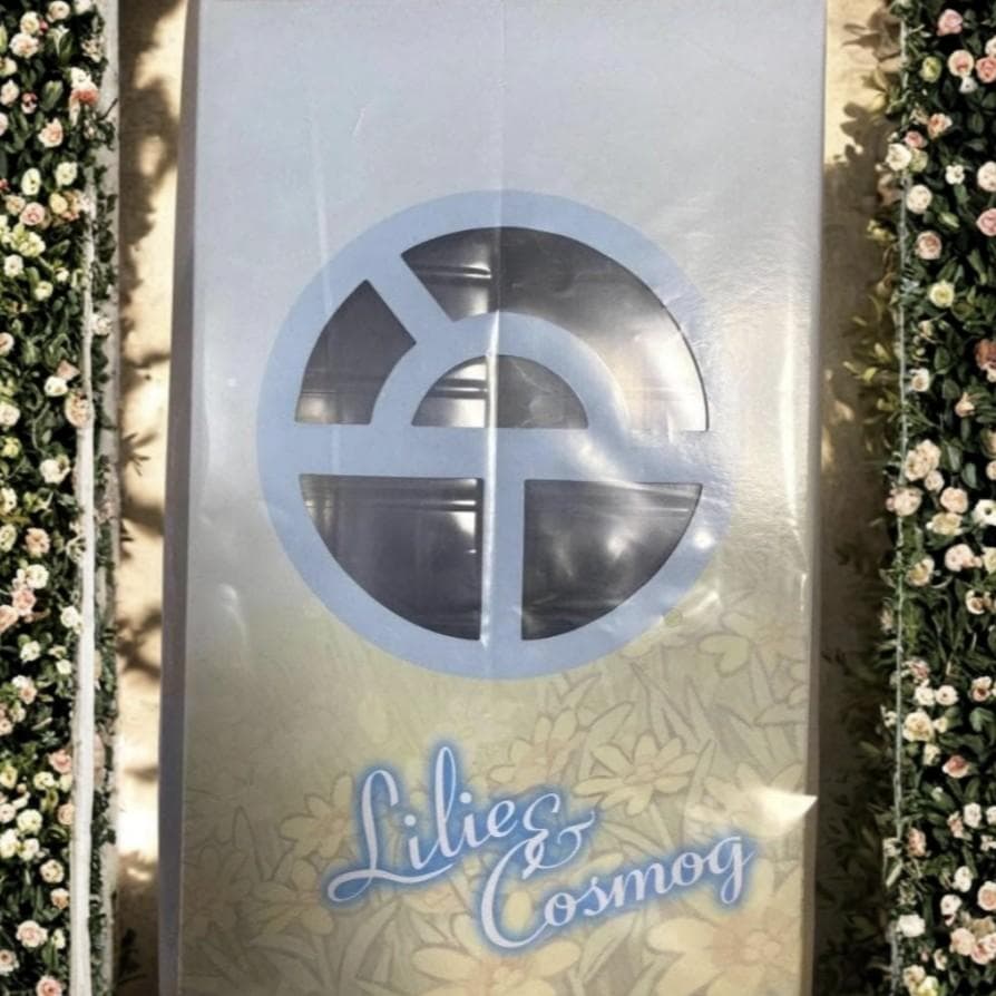 【新品未開封】ポケモンセンター限定 リーリエ＆コスモッグ 1/8 フィギュア