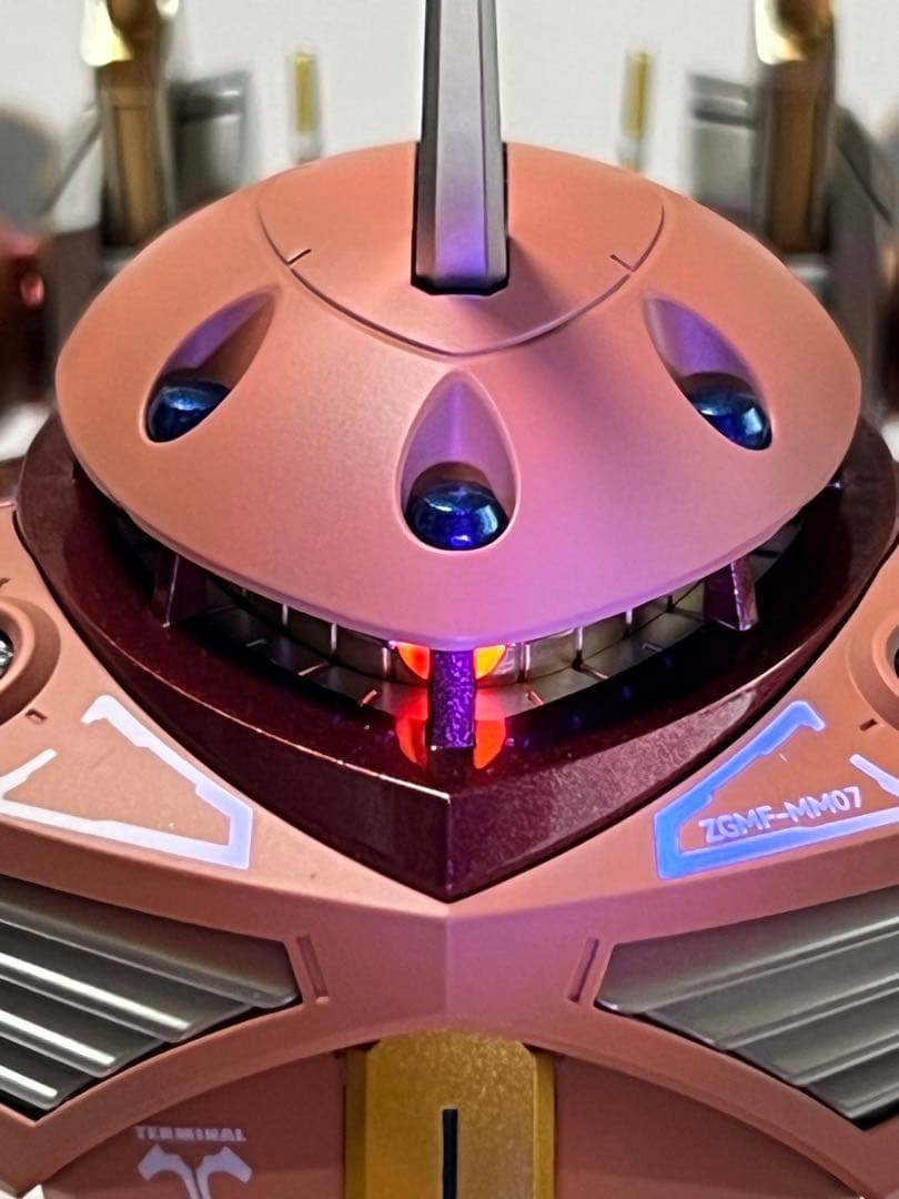 HGCE ズゴック SEED FREEDOM Ver. 塗装完成品 CAセット