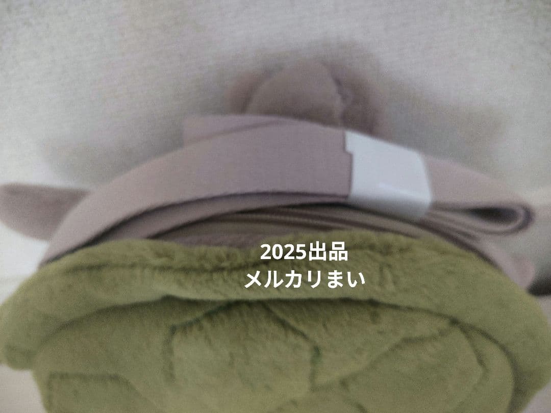  Timmy Turtle Bag ぬいぐるみバッグ　亀　カメ