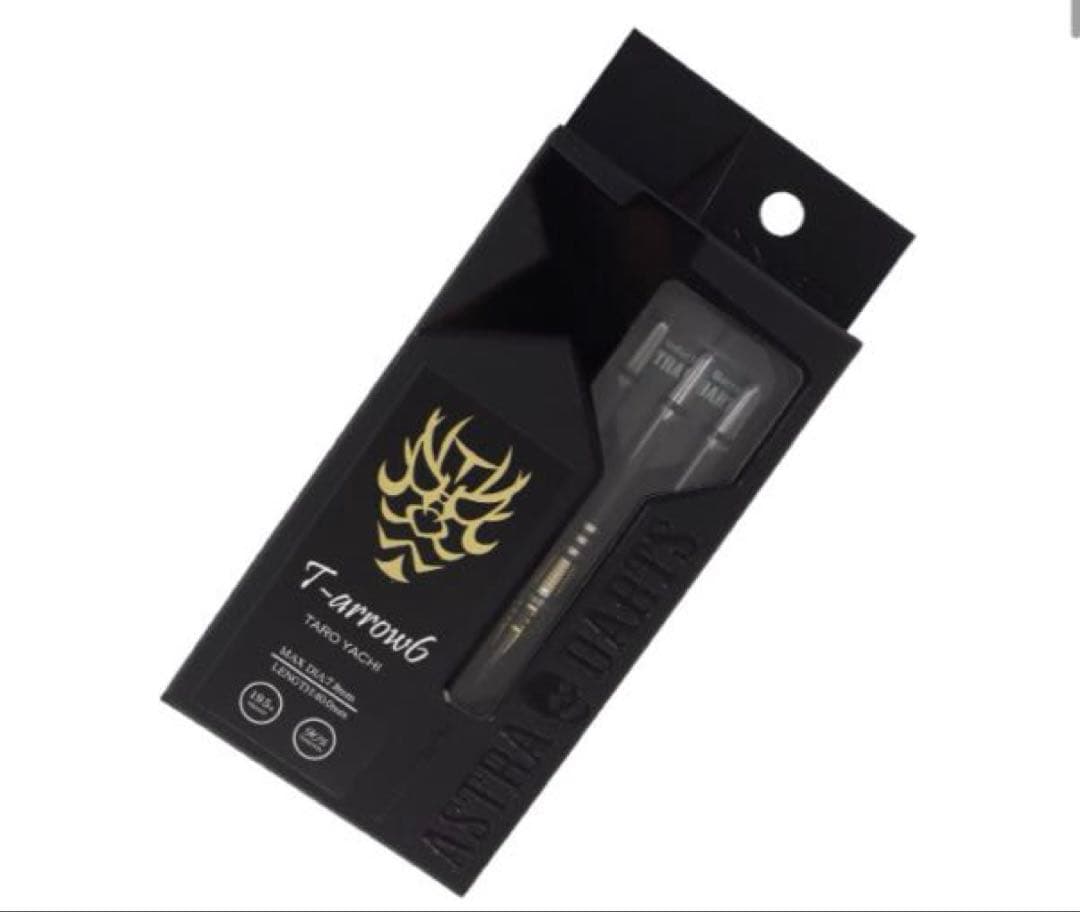 ティーアロー6 T-arrow 谷内太郎モデル