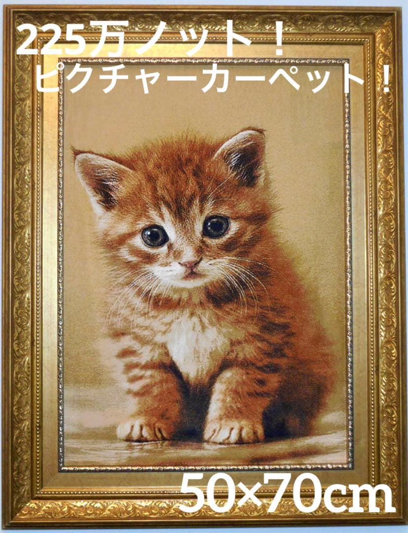 225万ノット！ピクチャーカーペット 額縁付き！50×70cm -191301
