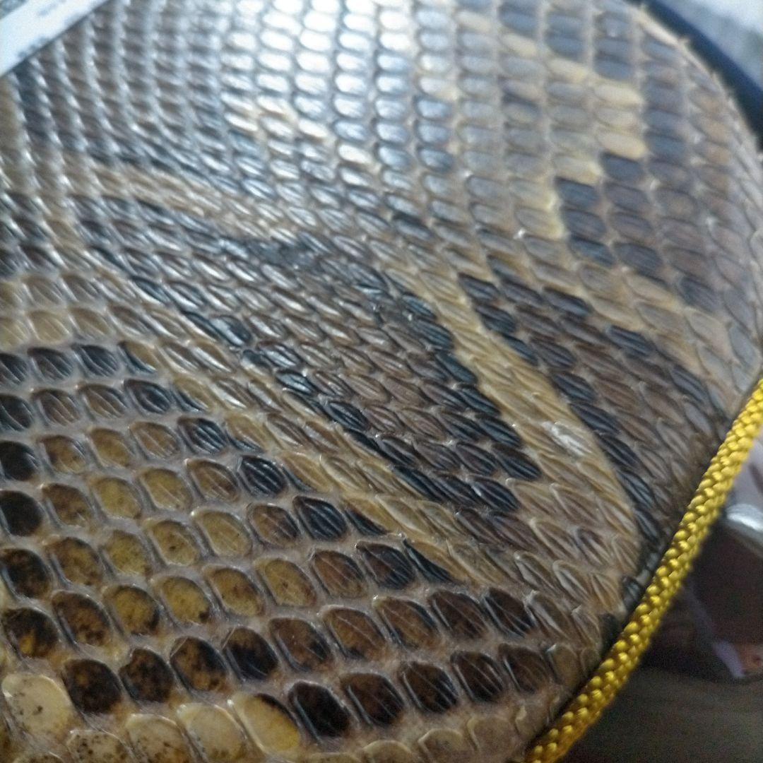 沖縄三線 本皮 三線 沖縄 皮破れなし 蛇皮 本蛇革 琉球 和楽器 弦楽器