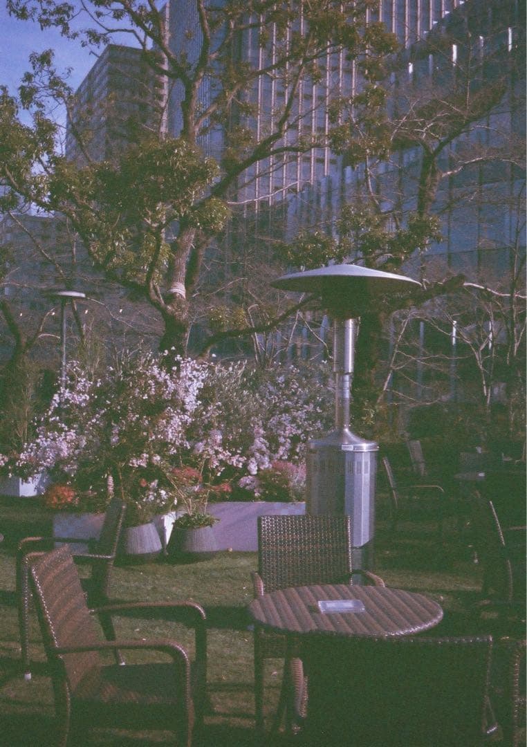 【動作確認・整備・清掃済み＊試写あり】黄色 リコーオートハーフS