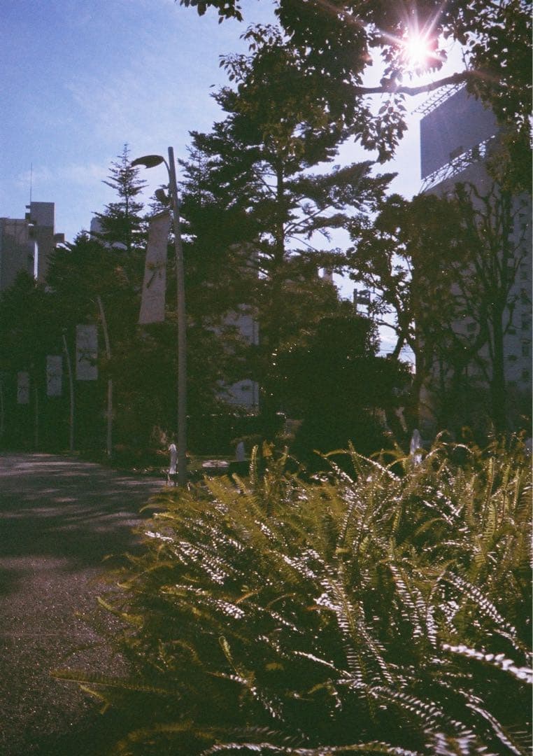 【動作確認・整備・清掃済み＊試写あり】黄色 リコーオートハーフS