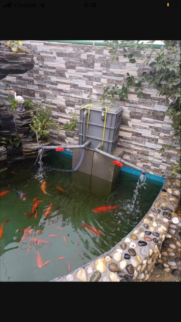 三段式濾過装置大型水槽用沈殿物理生物一体型濾過槽外部式 器水槽濾過試しろ材付き