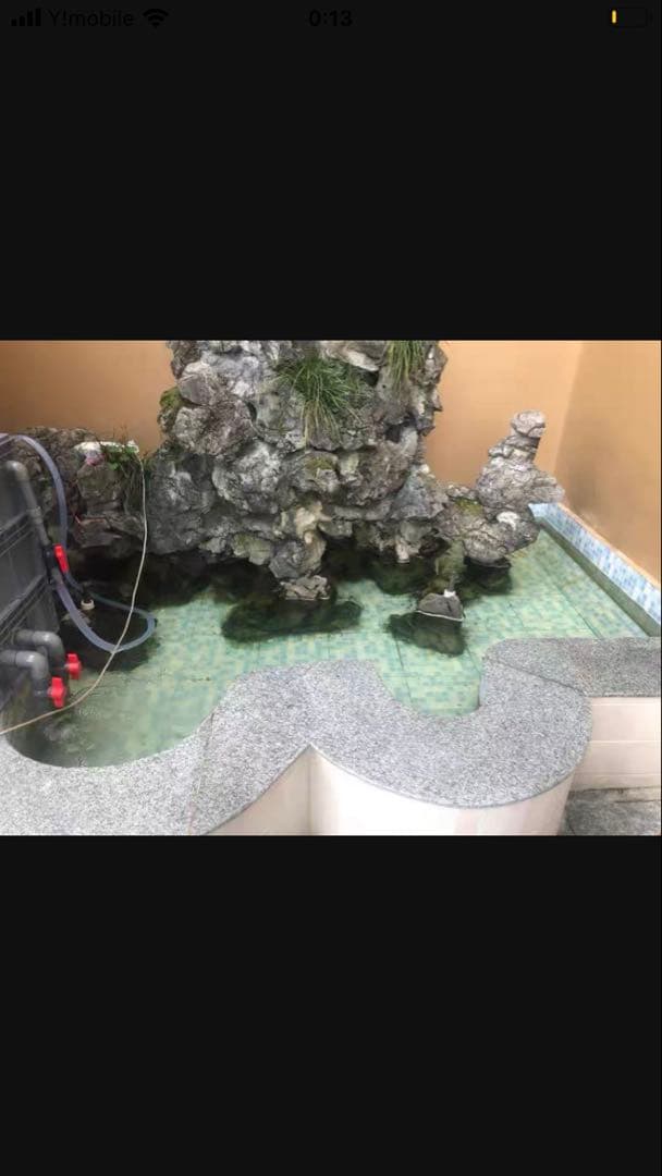 三段式濾過装置大型水槽用沈殿物理生物一体型濾過槽外部式 器水槽濾過試しろ材付き