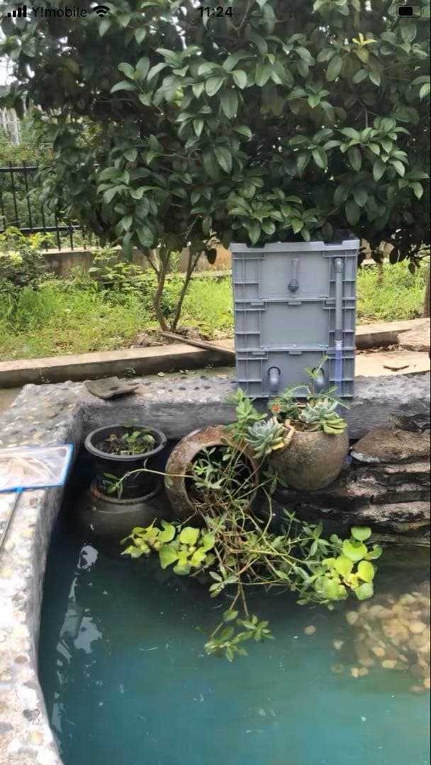 三段式濾過装置大型水槽用沈殿物理生物一体型濾過槽外部式 器水槽濾過試しろ材付き