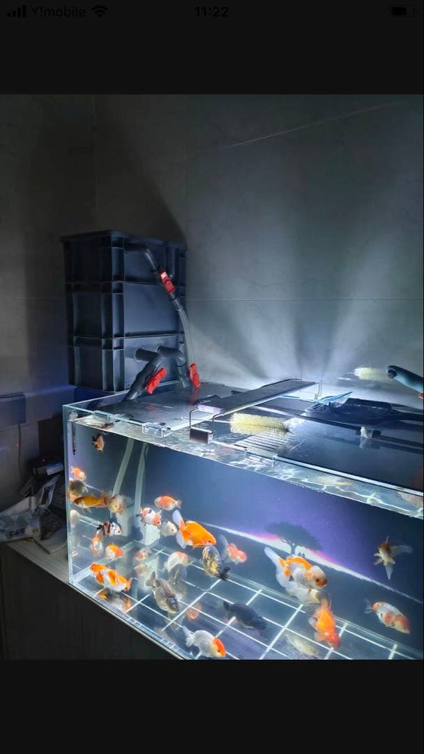 三段式濾過装置大型水槽用沈殿物理生物一体型濾過槽外部式 器水槽濾過試しろ材付き