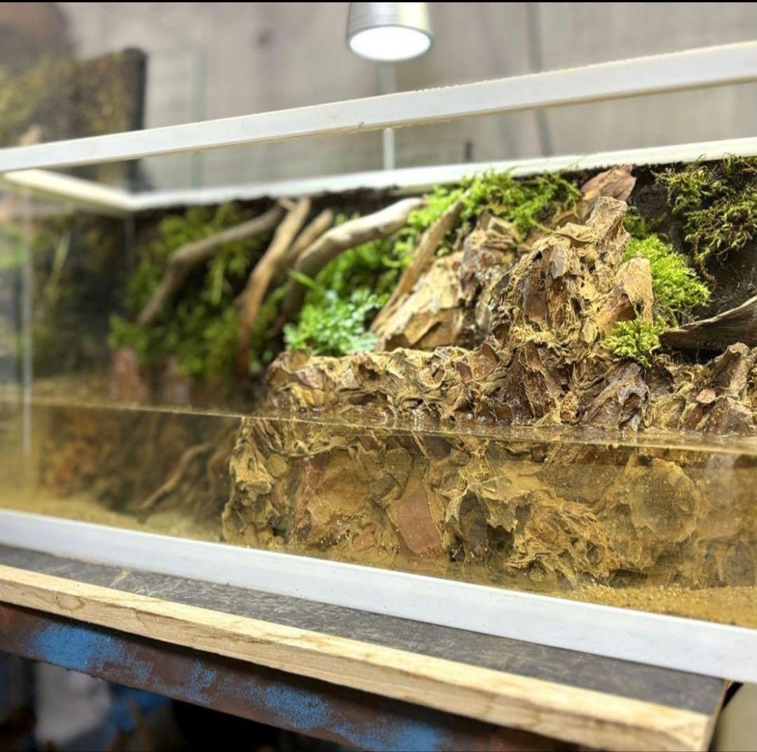 滝の流れるアクアテラリウム　イモリウム