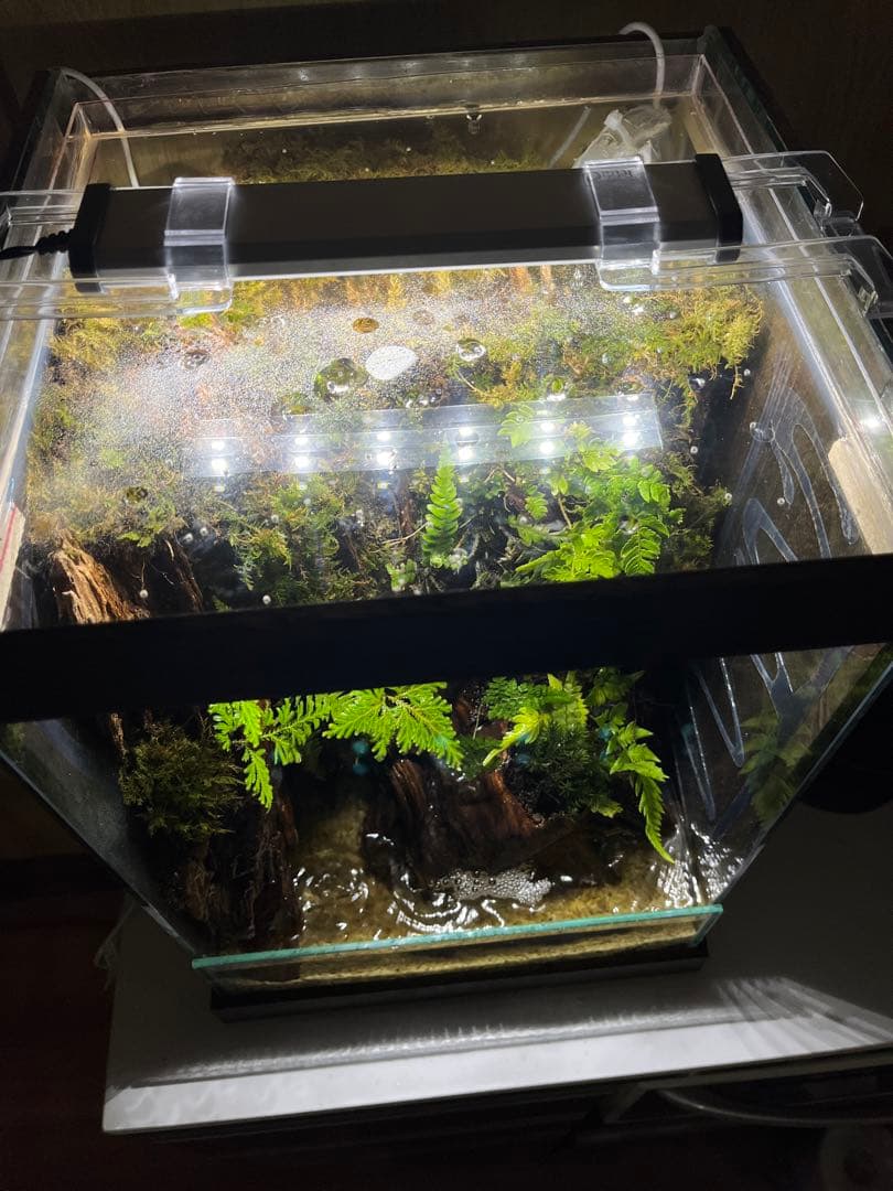 中型ガラス水槽 LEDライト付き