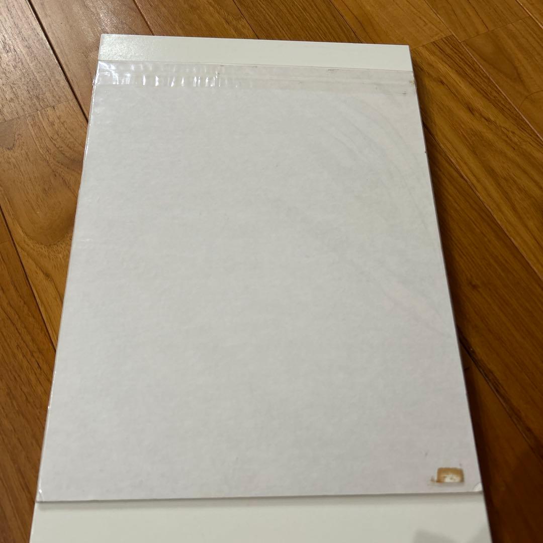 ディズニーアート♡アメリカ購入　ティンカーベル♡