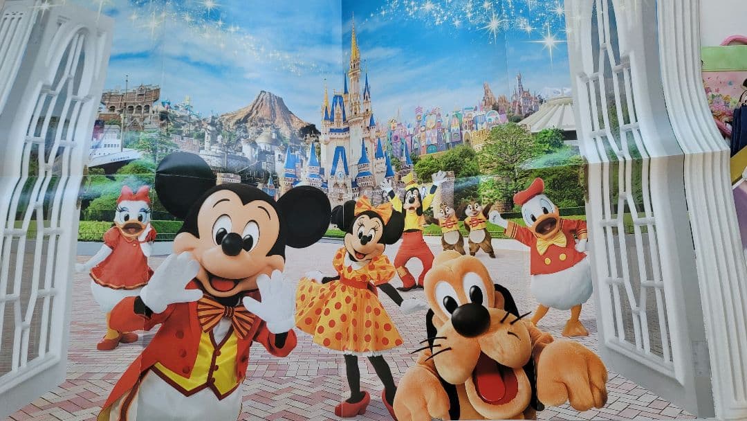 ディズニー　実写グッズ　まとめ売り