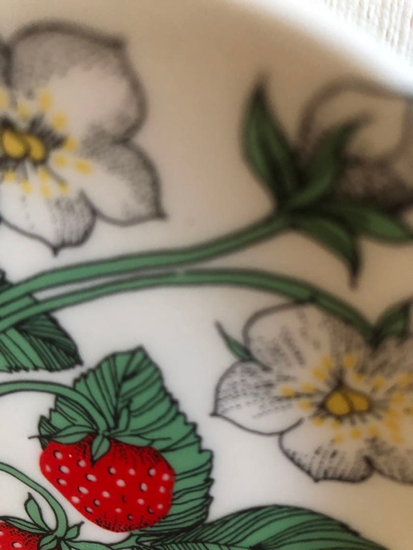 アラビア　ボタニカ　ウォールプレート　 野いちご