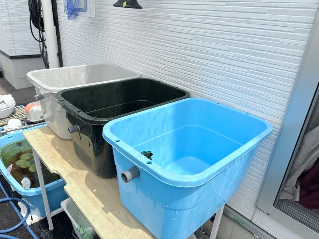 ★お買い得★たらい36L(3個)メダカ飼育容器オーバーフロー トロ舟プラ舟めだか