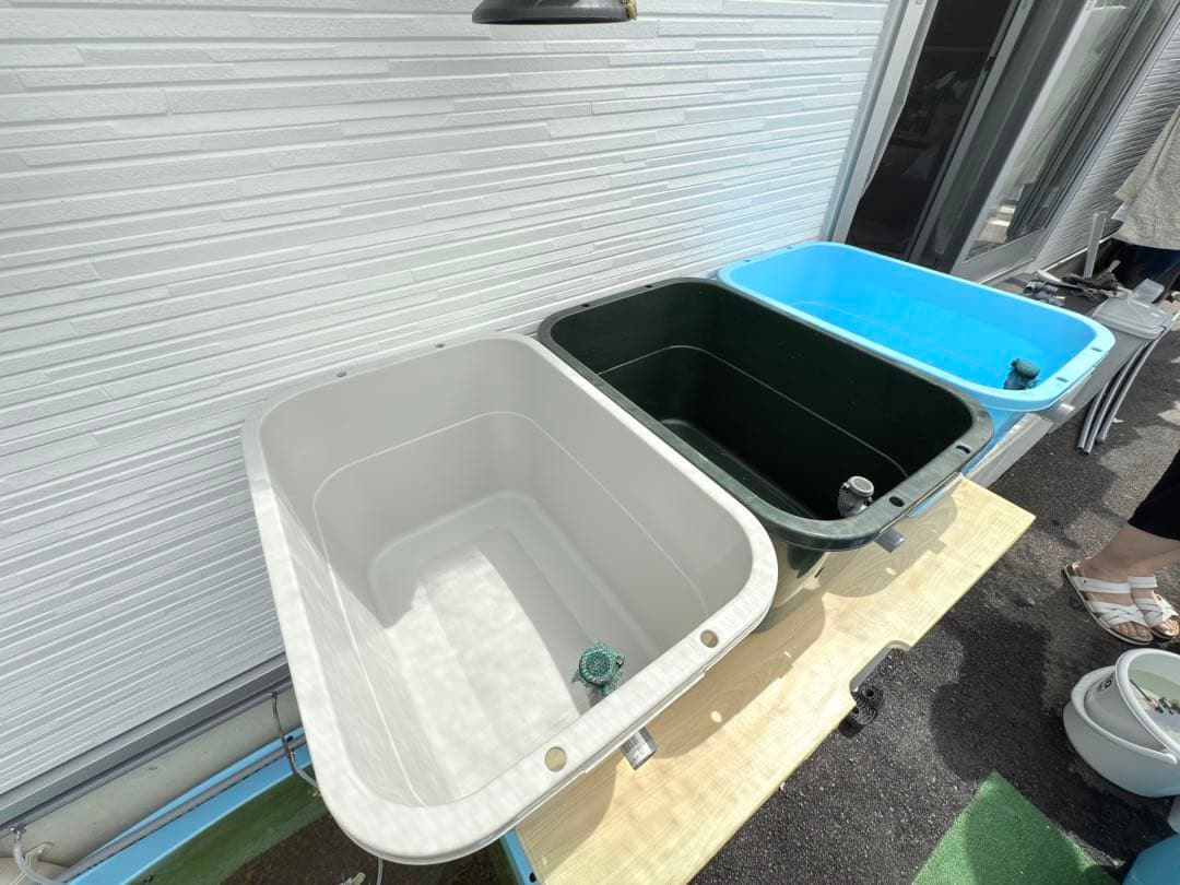 ★お買い得★たらい36L(3個)メダカ飼育容器オーバーフロー トロ舟プラ舟めだか