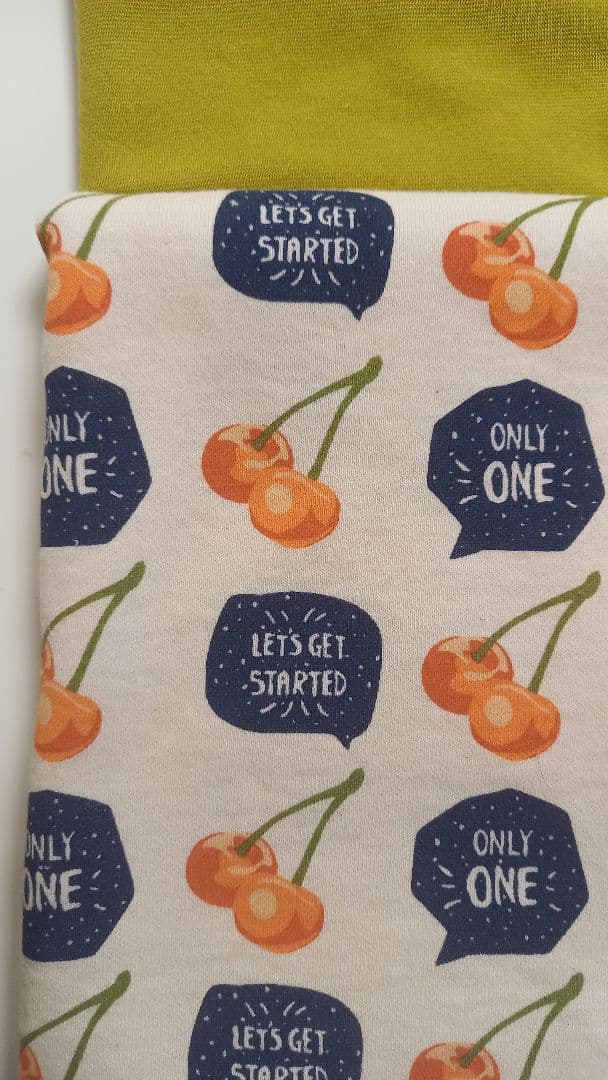 オレンジチェリーの犬の服