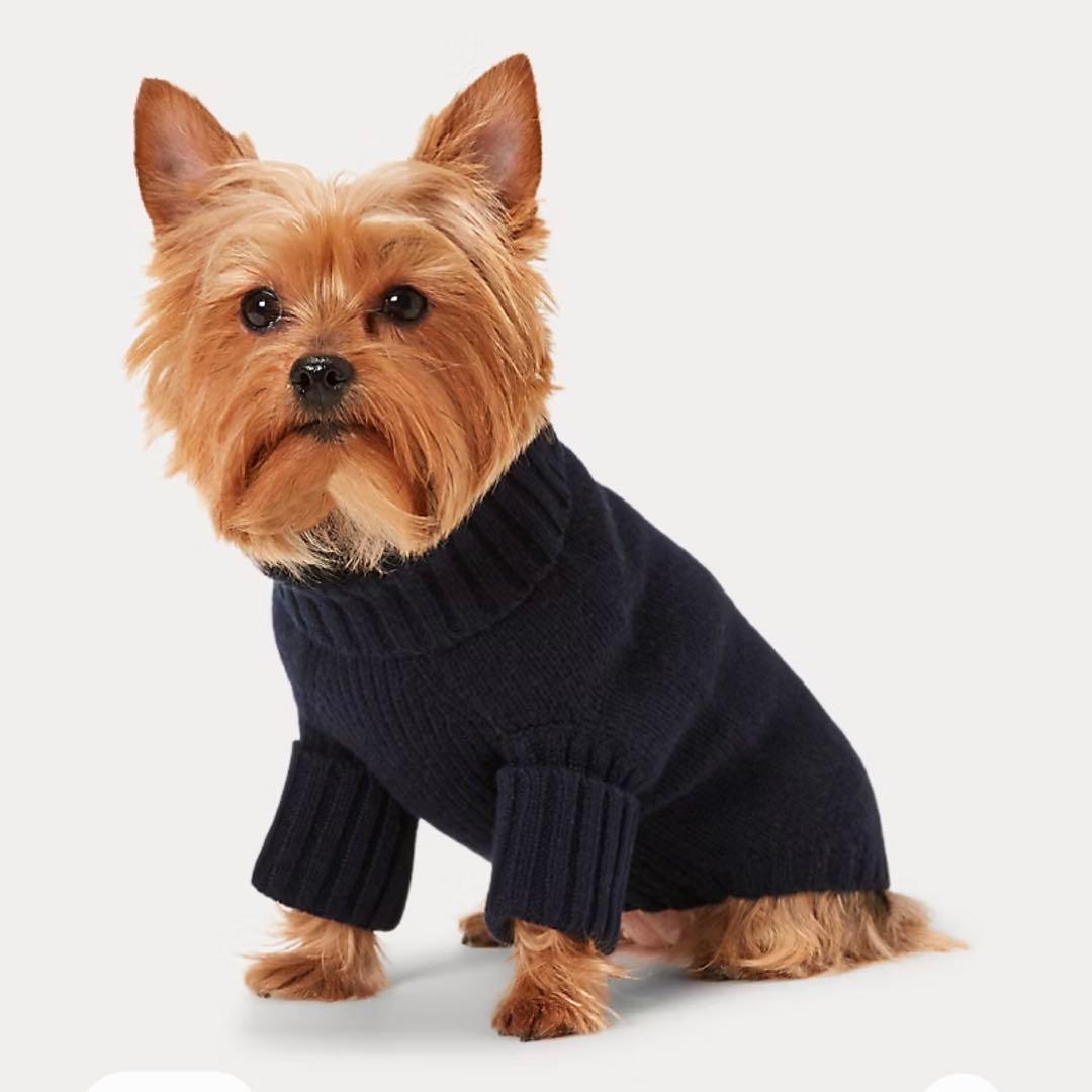 試着のみ ラルフローレン ベアウールカシミヤ ドッグセーター