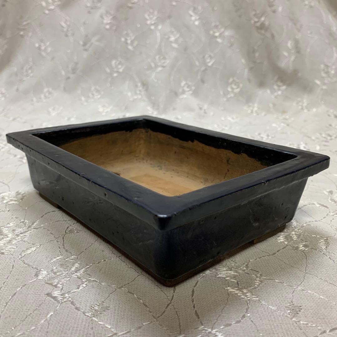 東福寺　長方　盆栽鉢