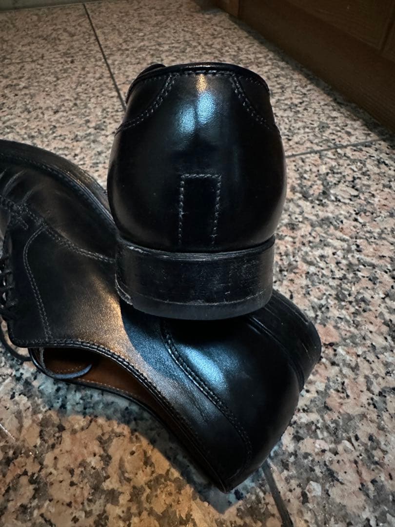 ALDEN 961 Vチップ