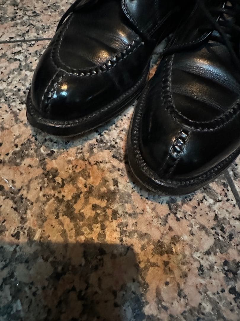 ALDEN 961 Vチップ