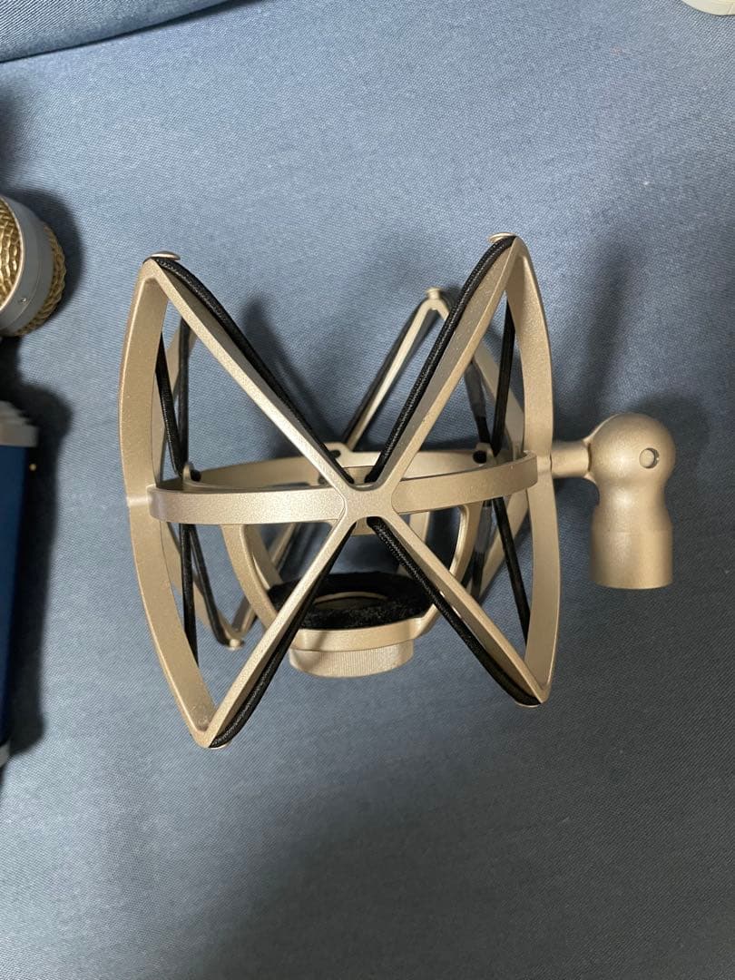 Blue MicrophonesのBluebird SLコンデンサーマイク