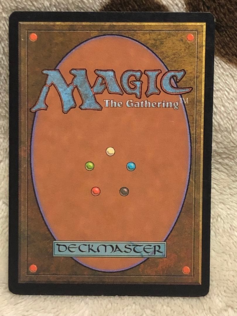 mtg 翻弄する魔道士　Meddling Mage foil 日本語