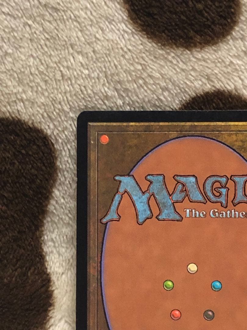 mtg 翻弄する魔道士　Meddling Mage foil 日本語