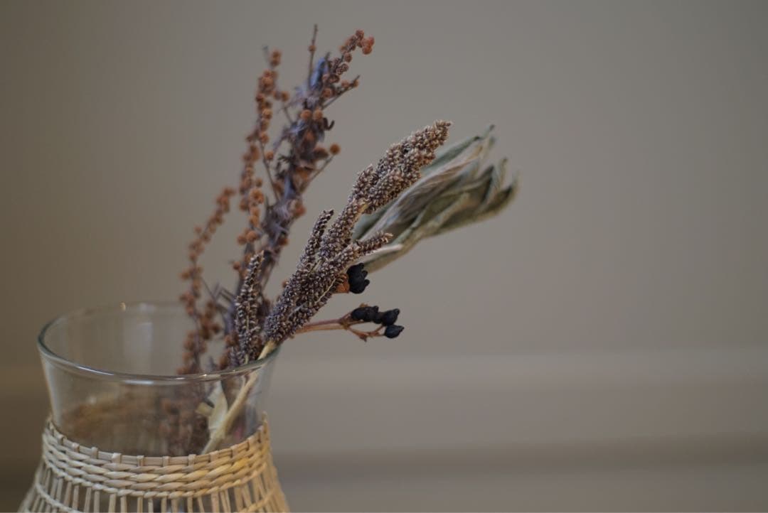 【希少前期型】Pentax Super-Takumar 55mm f1.8