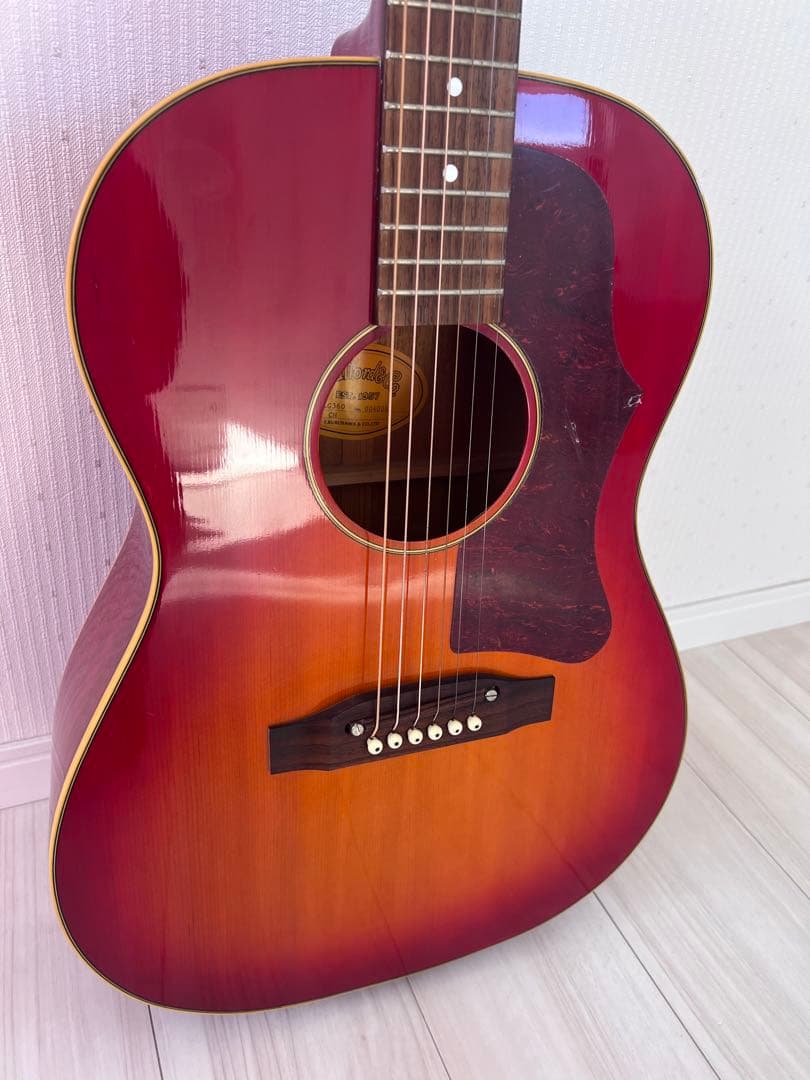 ギター Stafford SLG360