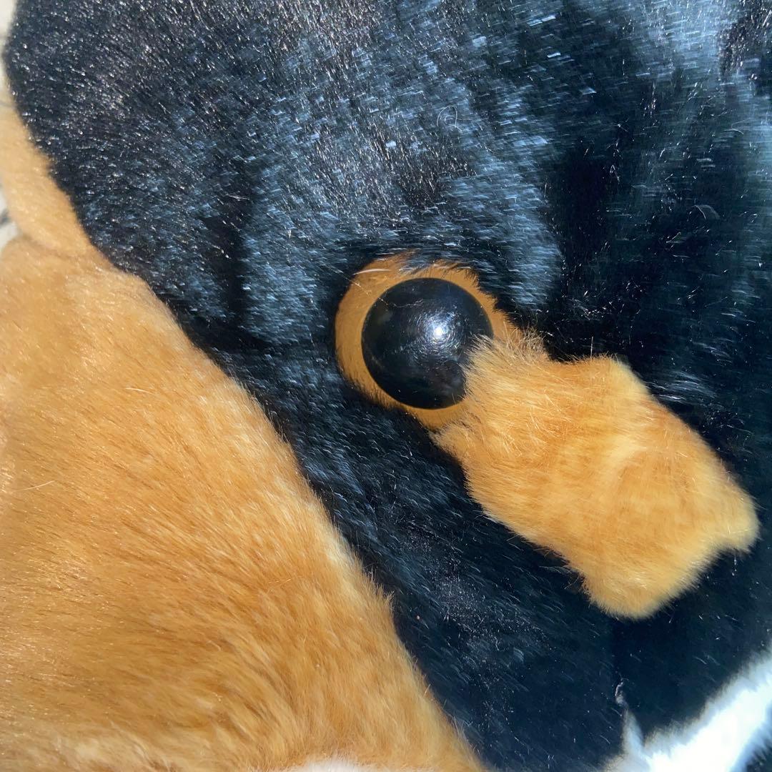 バーニーズ・マウンテン・ドッグ　ぬいぐるみ