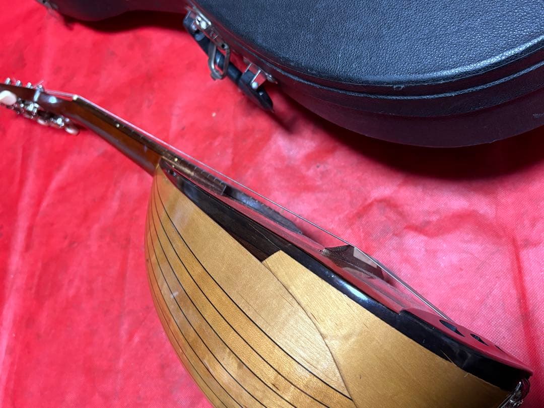 鈴木バイオリン　マンドリン　M-210 専用ハードケース付き　1917-03-1