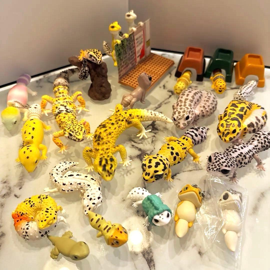 ヒョウモントカゲモドキ レオパ 爬虫類 いきもの大図鑑 ガチャ 食玩 フィギュア