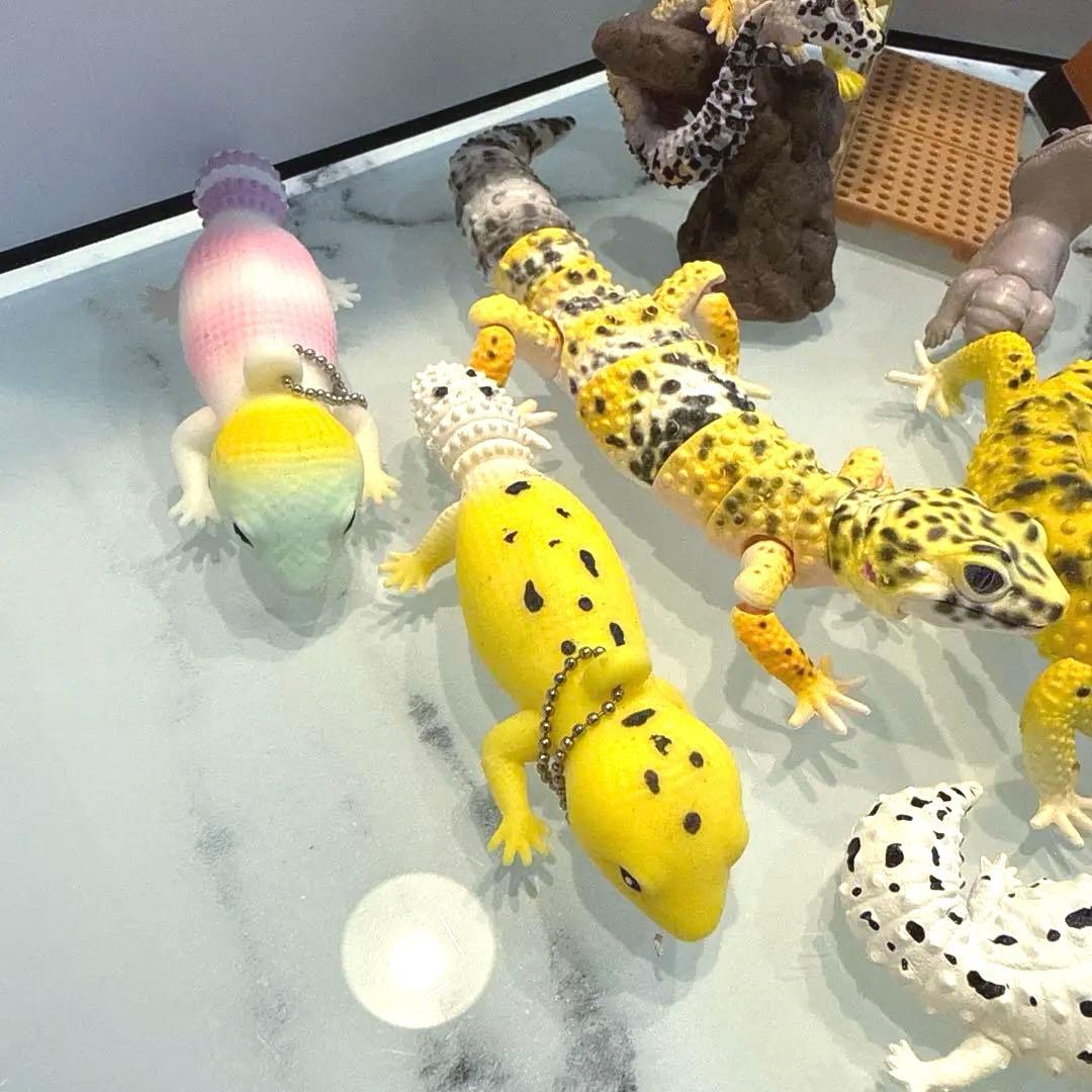 ヒョウモントカゲモドキ レオパ 爬虫類 いきもの大図鑑 ガチャ 食玩 フィギュア