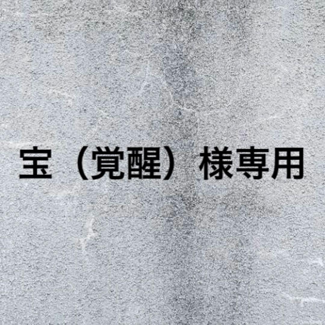 宝（覚醒）　　24cmグラキリスフィギュア