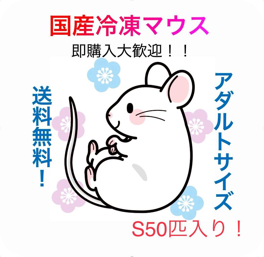 【即購入OK！】国産冷凍マウスアダルト S50匹入@地域限定