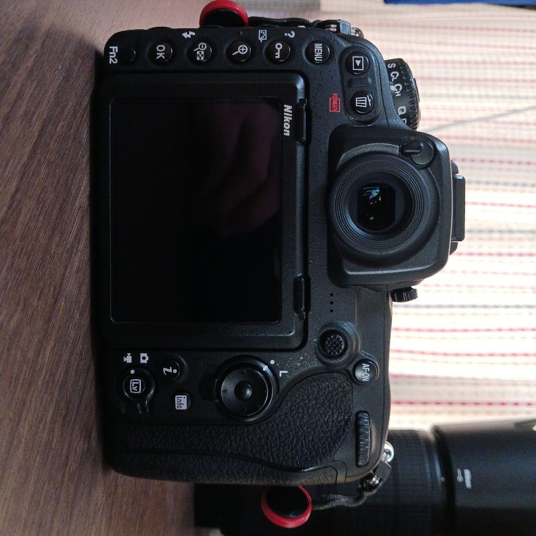 NIKON D500 + AF-P 70-300mm f4.5-5.6 セット