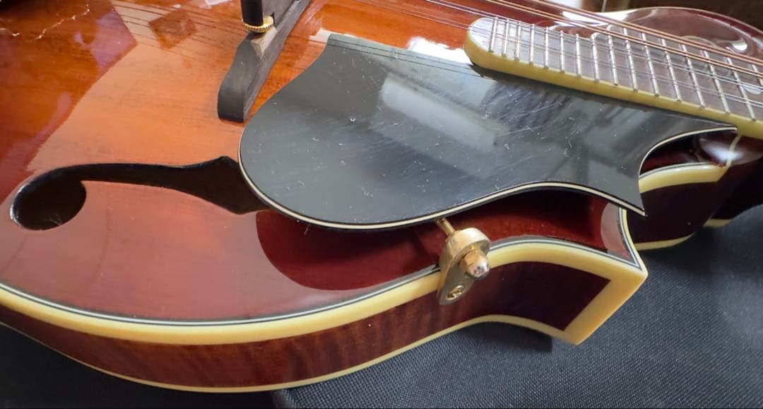 STAFFORD Traditional マンドリン 本体 ハードケース付き